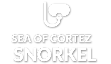 Nas Adventures -Sea of Cortez Snorkel