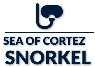 Nas Adventures - Sea of Cortez Snorkel Tour
