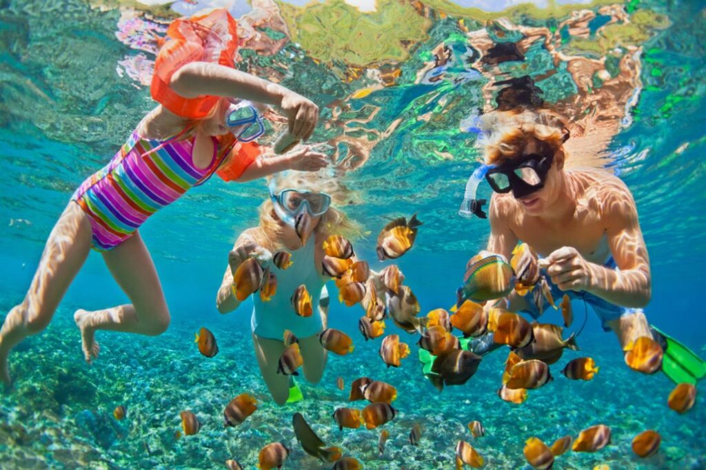 A family snorkeling amongst vibrant coral reefs and colorful fish in the clear waters of Cabo San Lucas.