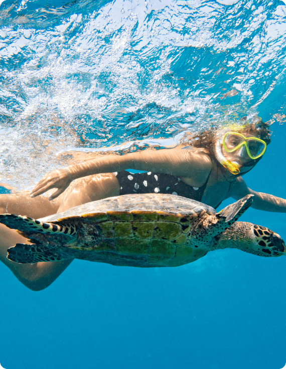 Snorkeler encountering a sea turtle in the clear waters of Cabo San Lucas