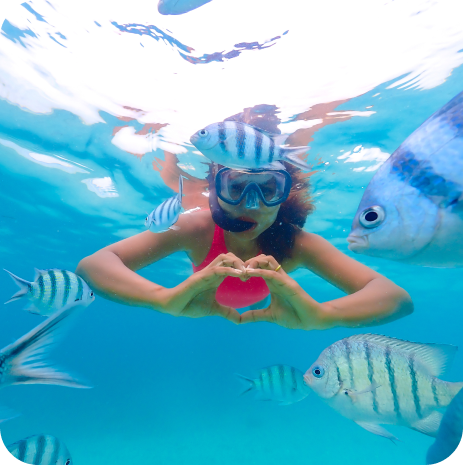 Discover Snorkel Adventures in Cabo San Lucas