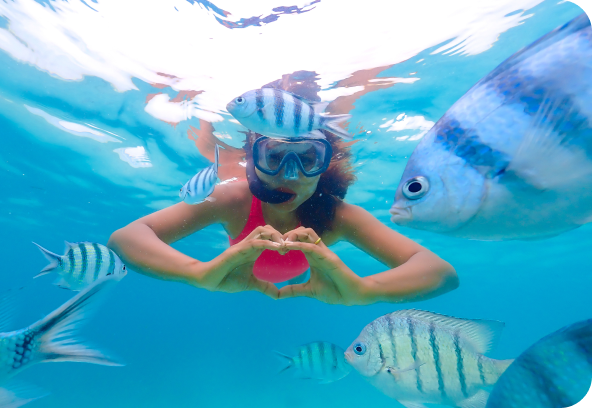 Snorkeling Excursions in Cabo